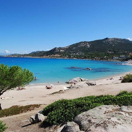 L'Orangeraie Calvi Centre A 300M De La Plage Et Du Port Parking Prive Екстер'єр фото