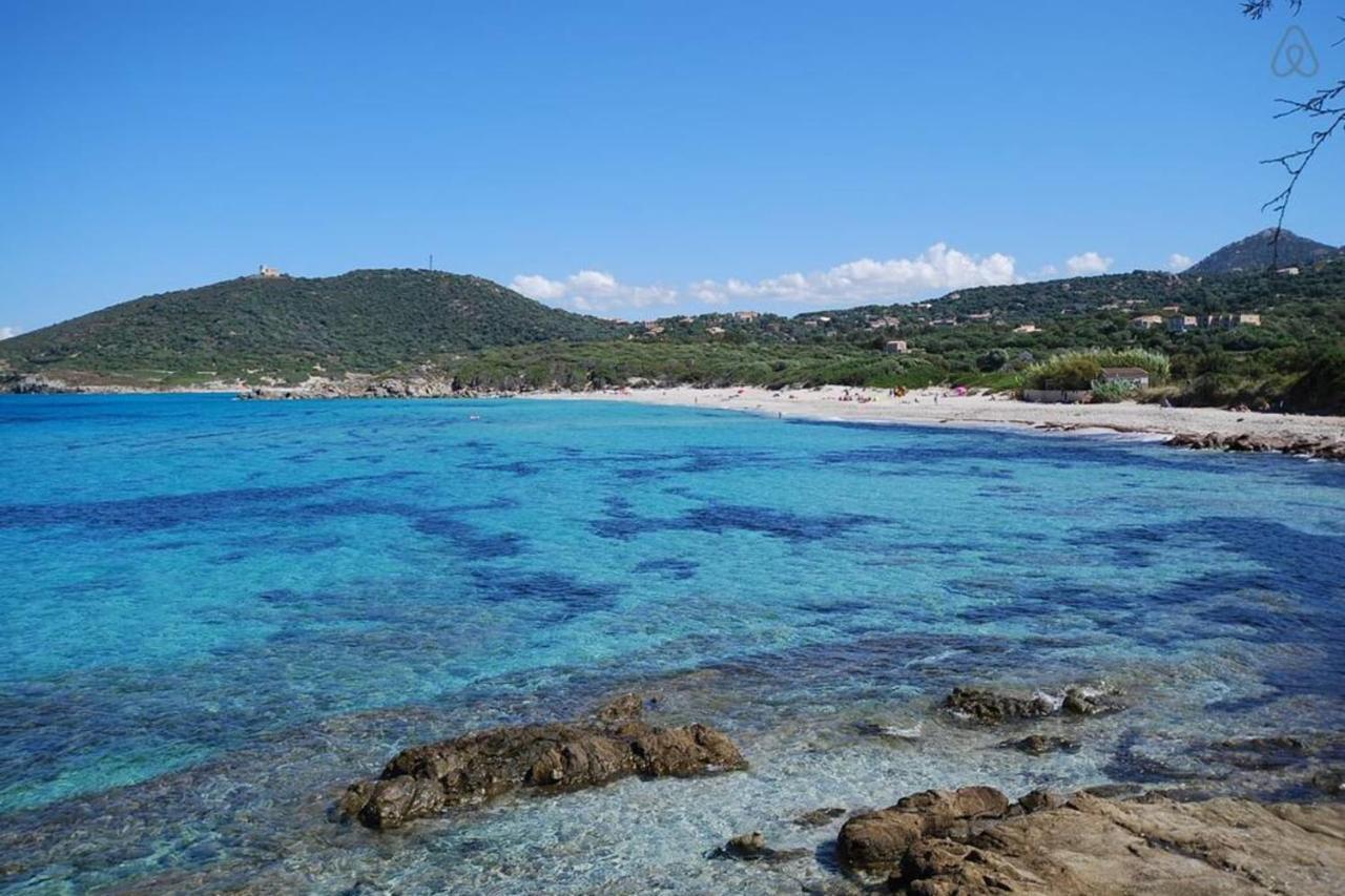 L'Orangeraie Calvi Centre A 300M De La Plage Et Du Port Parking Prive Екстер'єр фото