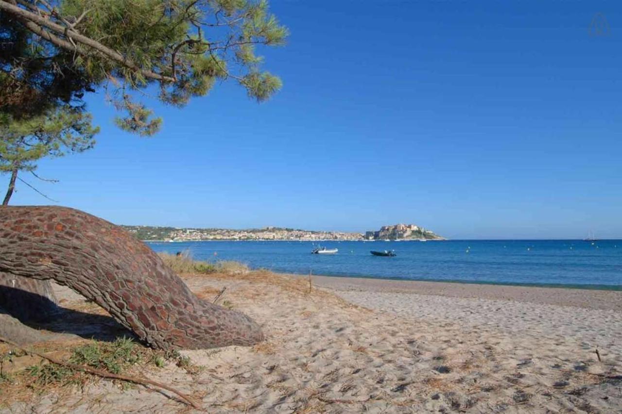 L'Orangeraie Calvi Centre A 300M De La Plage Et Du Port Parking Prive Екстер'єр фото