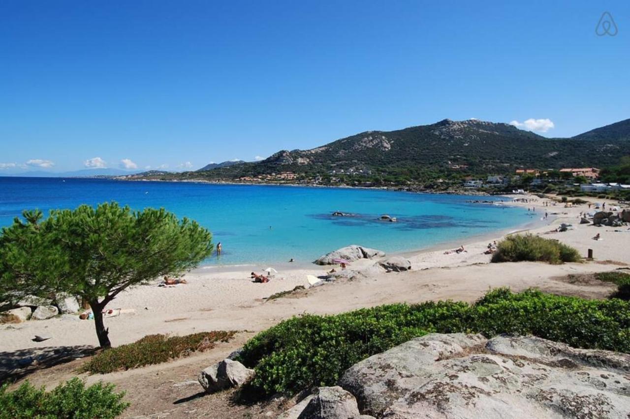 L'Orangeraie Calvi Centre A 300M De La Plage Et Du Port Parking Prive Екстер'єр фото